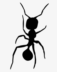 Transparent Ant Clip Art - Silhouette Ant Png, Png Download, Free Download