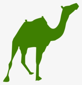 Walking Camel Silhouette Svg Clip Arts - Giza Pyramids Vector, HD Png Download, Free Download