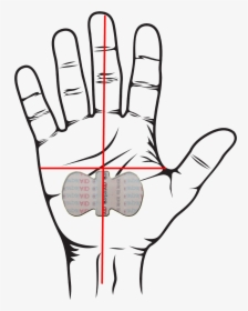 Transparent Hands Drawing Png - Stop Hand Pencil Drawing, Png Download, Free Download