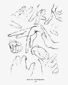 Transparent Hand Drawing Clipart - Drawing, HD Png Download, Free Download