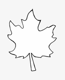 Leaf Outline Collection Fall Leaves Pictures Transparent - Fall Leaves Outline, HD Png Download, Free Download