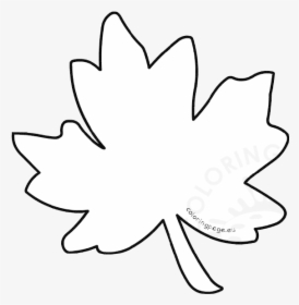 Leaf Outline Autumn Coloring Page Maple Clipart Transparent - Fall Outline Leaf Clipart, HD Png Download, Free Download