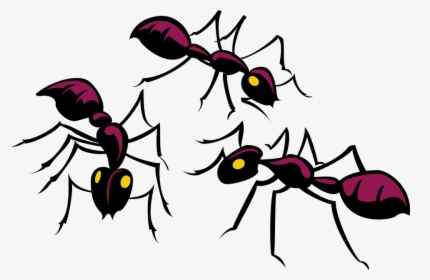 Ants Clipart, HD Png Download, Free Download