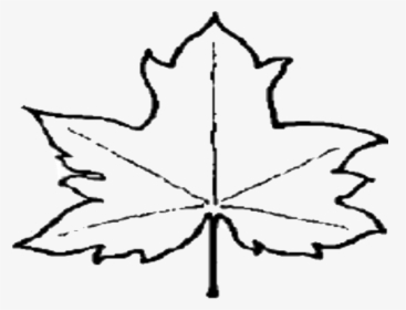 Transparent Fall Leaf Clip Art Png - Out Line Picture Of Leaves, Png Download, Free Download