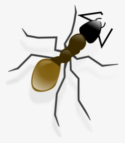 Ant Bw Clip Art, HD Png Download, Free Download