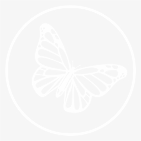 Conservation Blueprint Brush Footed Butterfly- - Brush-footed Butterfly, HD Png Download, Free Download