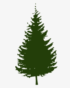 Pine Clipart Coniferous Tree - Pine Tree Silhouette Png, Transparent Png, Free Download