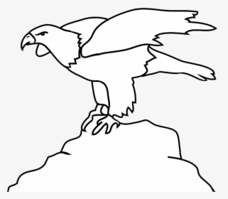 Transparent American Eagle Clipart Black And White - Eagle, HD Png Download, Free Download