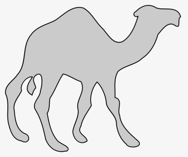 Camel,monochrome Photography,artwork - Cool Stuff Png, Transparent Png, Free Download