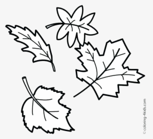 Leaf Outline Fall Outlines Autumn Maple Transparent - Autumn Leaves Drawing Easy, HD Png Download, Free Download