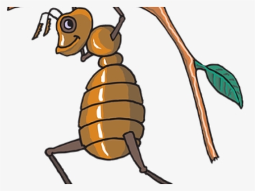 Baby Clipart Ant - Free Vector Bee, HD Png Download, Free Download