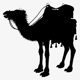 Camel Silhouette, HD Png Download, Free Download