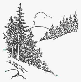 Trees, Forest, Pines, Country Side, Hills, Scenery - Clipart Mountain Trees Black And White, HD Png Download, Free Download