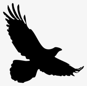 Transparent Eagle Outline Png - Silhouette Of A Falcon, Png Download, Free Download