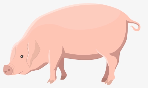 Transparent Pig Outline Png - Domestic Pig, Png Download, Free Download