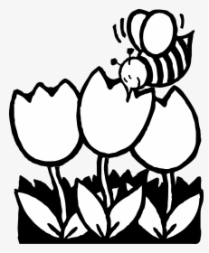 Drawing At Getdrawings Com - Spring Flowers Black And White Clipart, HD Png Download, Free Download