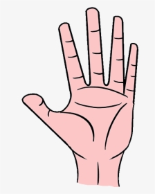How To Draw Hand - Drawing, HD Png Download, Free Download