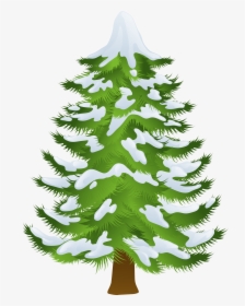 Pine Tree Winter Clip Art - Pine Tree Transparent Clipart, HD Png Download, Free Download