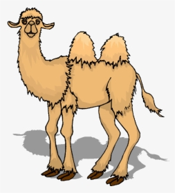 Transparent Background Cartoon Camel Png, Png Download, Free Download
