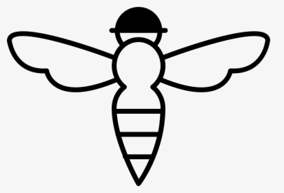 Bee With Sting Outline - Transparent Bee Outline Free, HD Png Download, Free Download