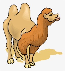 Camels Clipart Transparent - Camel Gif Png, Png Download, Free Download