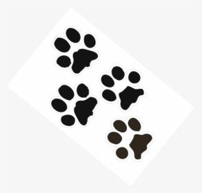 Bobcat Paw Print Outline - Bobcat Paw In Black And White, HD Png Download, Free Download