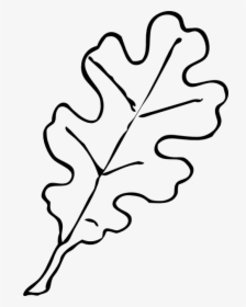 Permalink To Fall Leaf Outline Frog Clipart - Autumn Leaf Clipart Black And White, HD Png Download, Free Download