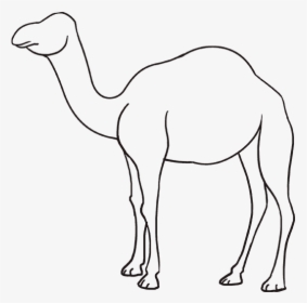 Camel Clipart Simple - Draw Camel, HD Png Download, Free Download