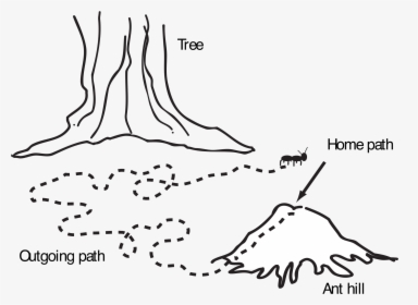 Ant Navigation Map Clip Arts - Ant Hill Clipart Black And White, HD Png Download, Free Download
