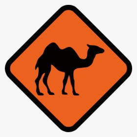 Transparent Camel Clipart Png - Black And White Camel Vector, Png Download, Free Download