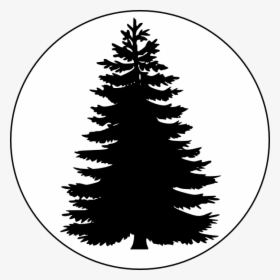 Clip Art Png Royalty Free Download - Vector Pine Tree Png, Transparent Png, Free Download