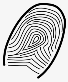 Thumb, Fingerprint, Print, Thumbprint, Identity - Drawings Of Forensic Science, HD Png Download, Free Download