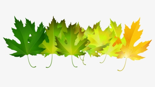 Autumn Leaves Clip Art - Clip Art, HD Png Download, Free Download