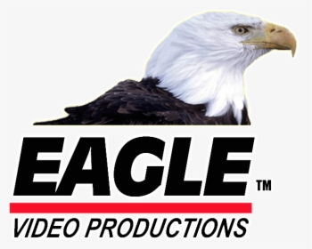 Eagle Video Productions Inc - Animais Ameaçados De Extinção, HD Png Download, Free Download