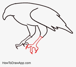 How To Draw An Eagle Step By Step - Eagle, HD Png Download, Free Download