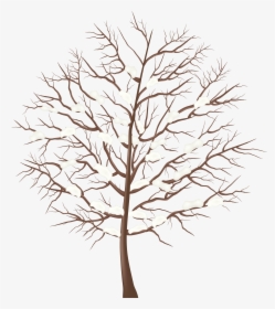 Winter Tree Clipart Png, Transparent Png, Free Download