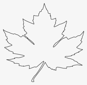 Clip Art Maple Flag Of Canada - Outline Maple Leaf Png, Transparent Png, Free Download