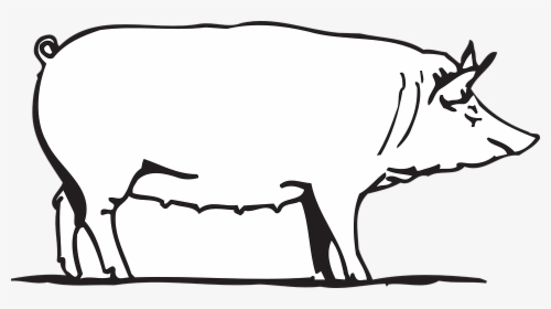 Farm, Barn, Pig, Animal - Pig Drawing Png, Transparent Png, Free Download
