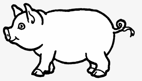 Pig Clipart Pictures Library Free Images Transparent - Colouring Pages Of Pig, HD Png Download, Free Download