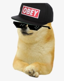 roblox mlg doge