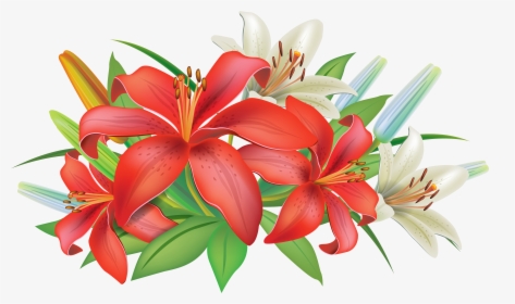 Lily Flower Clipart Png, Transparent Png, Free Download