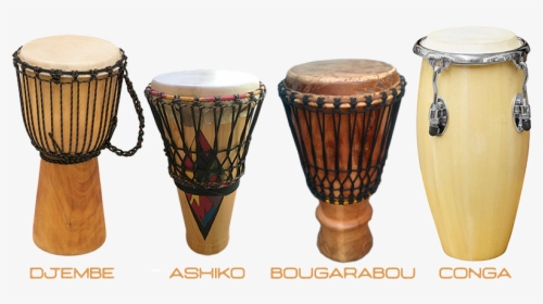 Drums2 - Percussion Hand Drums, HD Png Download, Free Download