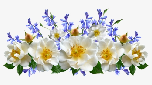 Rose Bush Png Images Free Transparent Rose Bush Download Kindpng - white roses roblox