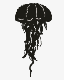 Jellyfish Silhouette Animal Clip Art - Jellyfish Silhouette Png, Transparent Png, Free Download