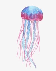 Jellyfish Freetoedit - Box Jellyfish Png, Transparent Png, Free Download