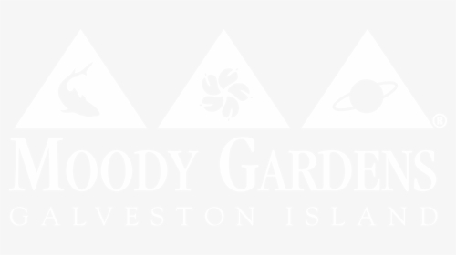 Moody Gardens - Ripley S.a., HD Png Download, Free Download