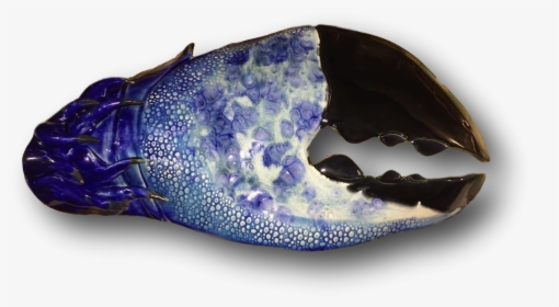 Blue Crab Claw - American Lobster, HD Png Download, Free Download