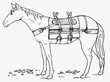 Donkey,horse Tack,horse Supplies - Mare, HD Png Download, Free Download