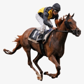 Horse Ride - Horse Racing Png, Transparent Png, Free Download