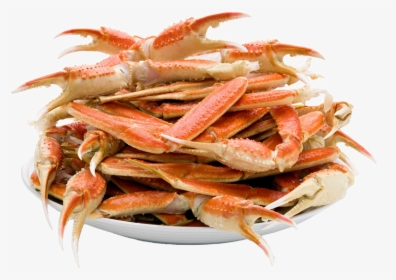 Crab Png - Sea Food Trans Png Crab Legs, Transparent Png, Free Download